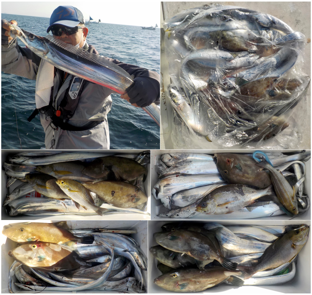 かめちゃん 【TAMA屋】全て正絹 絞り着物 まとめ売り10点TM1968 Yahoo!オークション - 【TAMA屋】着物 帯まとめ売りさんの出品リスト