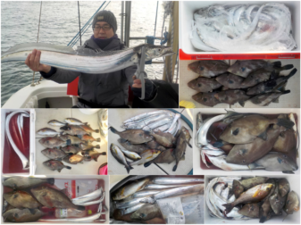 太刀魚 うまづらはぎ